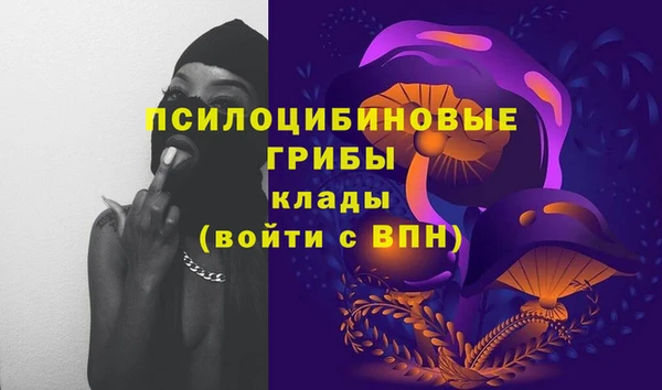 МДМА Гусев