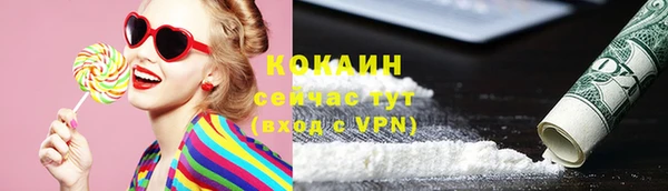 СК Гусь-Хрустальный