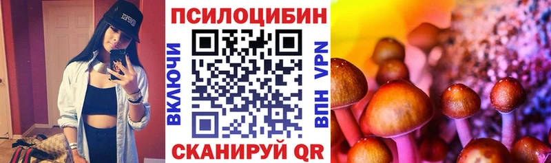 Галлюциногенные грибы MAGIC MUSHROOMS  Купить где  Реутов 